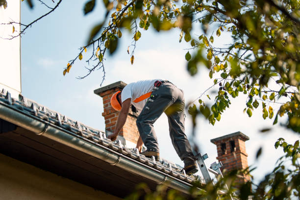 Best Roof Insulation Installation  in Wymore, NE