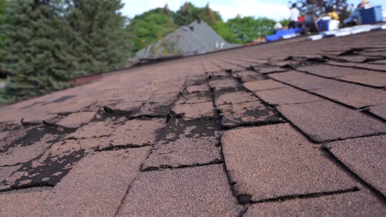 Best Roof Leak Repair  in Wymore, NE