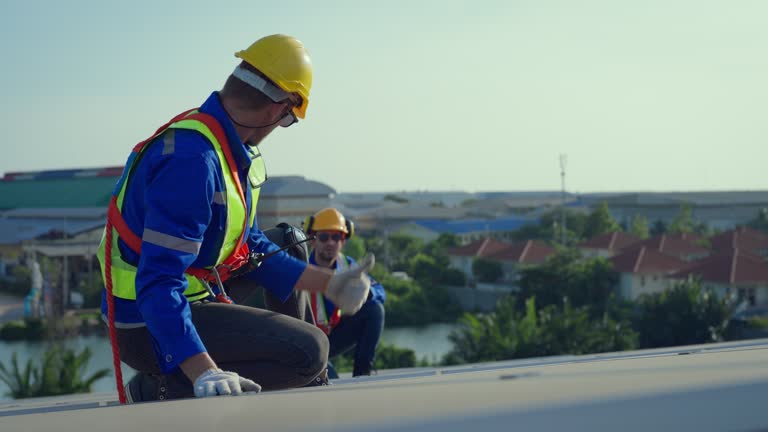Best Sheet Metal Roofing  in Wymore, NE